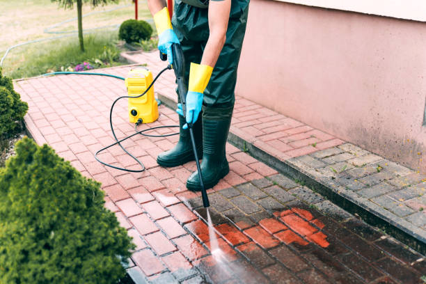 Best Garage Pressure Washing  in Cortland, IL