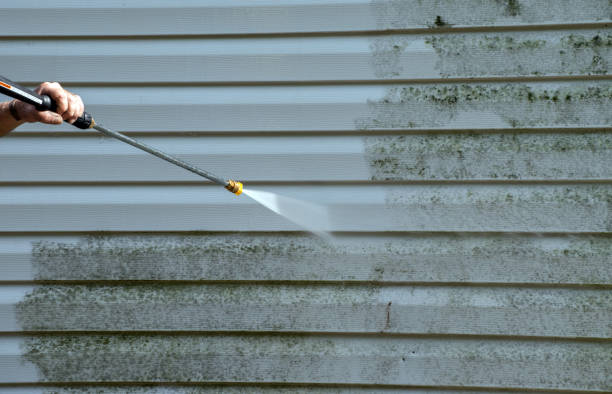 Best Commercial Building Pressure Washing  in Cortland, IL