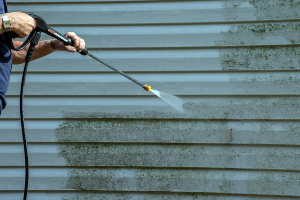 Best Roof Pressure Washing  in Cortland, IL