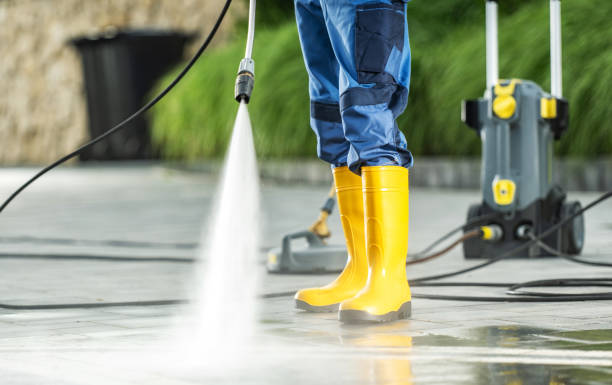 Best Fence Pressure Washing  in Cortland, IL