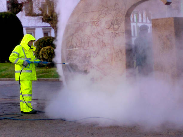 Best Power Washing Near Me  in Cortland, IL