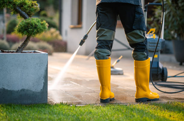 Best Sidewalk Pressure Washing  in Cortland, IL